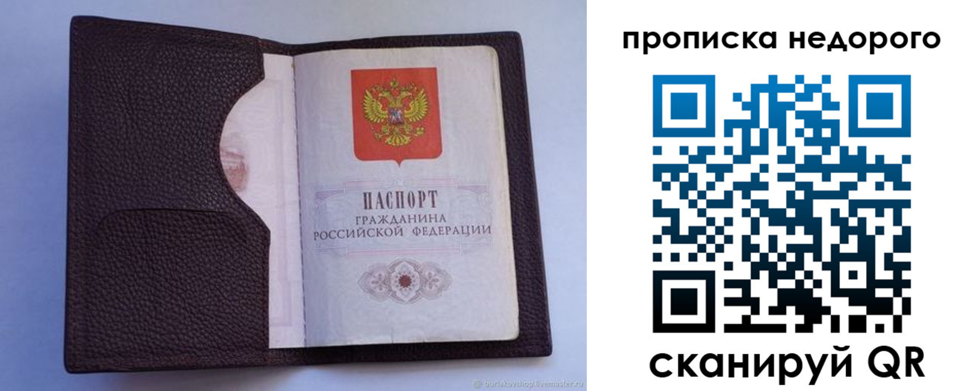 прописка законно в Чистополье